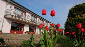 boardinghouse Kappeln by team SchleiFee, Kappeln